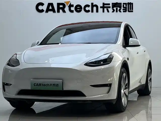 Tesla Model Y 2021 Standard Range Rear-Wheel Drive