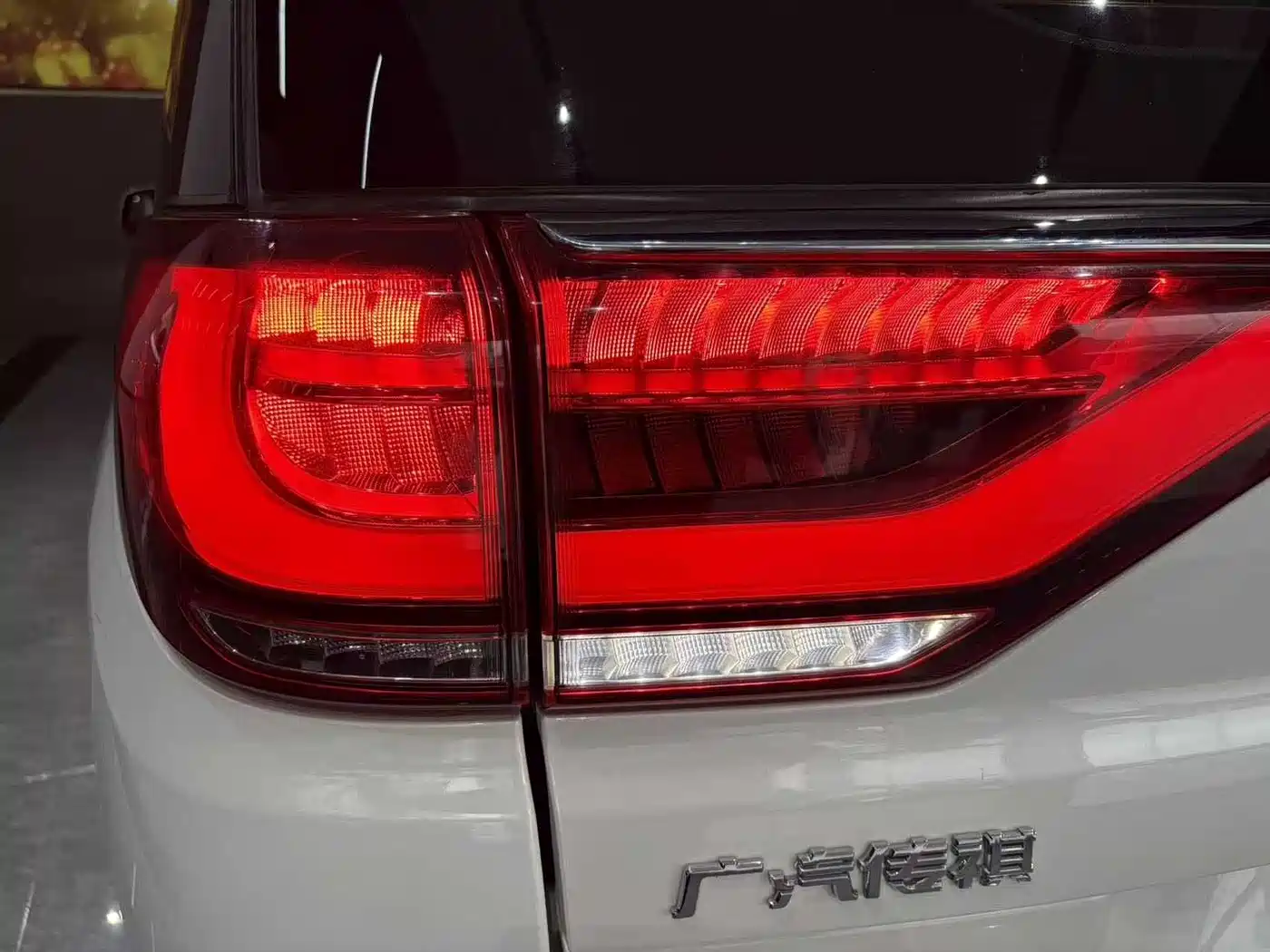 GAC Trumpchi Trumpchi M8 2020 Pilot 390T Luxury Edition фото 8
