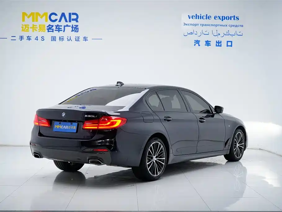 BMW 5 Series 2019 530Li Leading M Sport Package фото 15