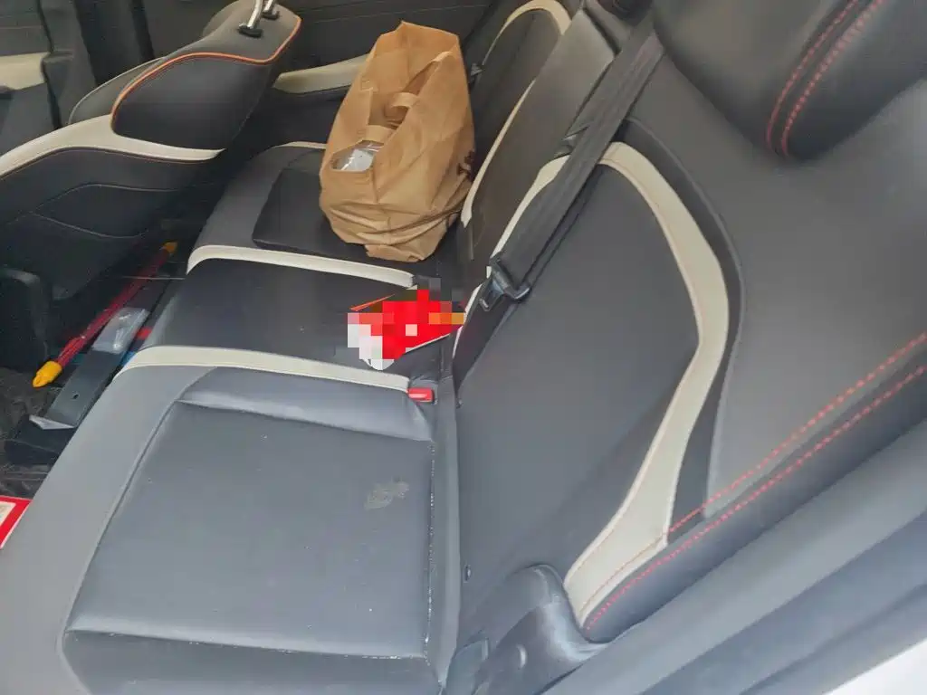 Baojun RC-6 2019 2019 1.5T Manual 24-hour Online Luxury