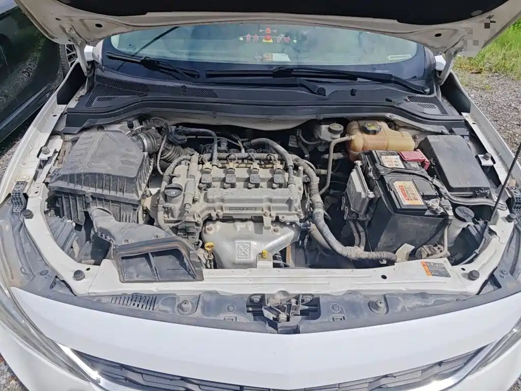 Chevrolet Cavalier 2016 2016 1.5L Manual Delight Edition