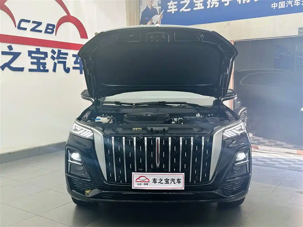 Hongqi HS5 2023 2.0T Flag Enjoy Pro Edition фото 26