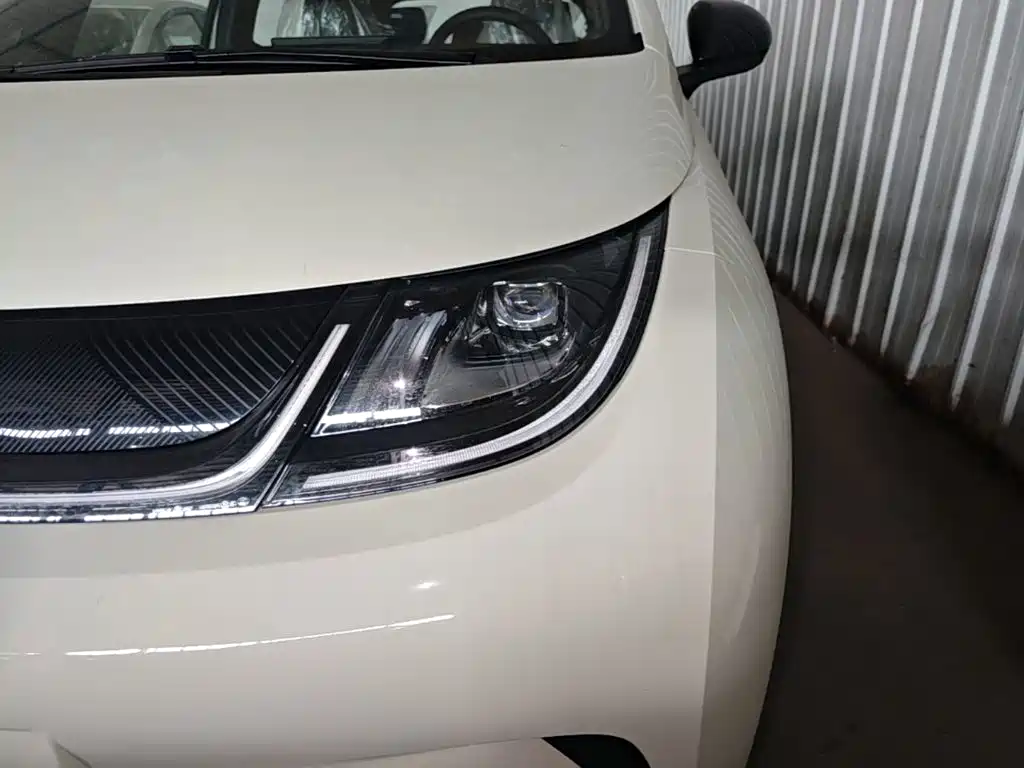 BYD Dolphin 2026 2025 420km Freedom Edition