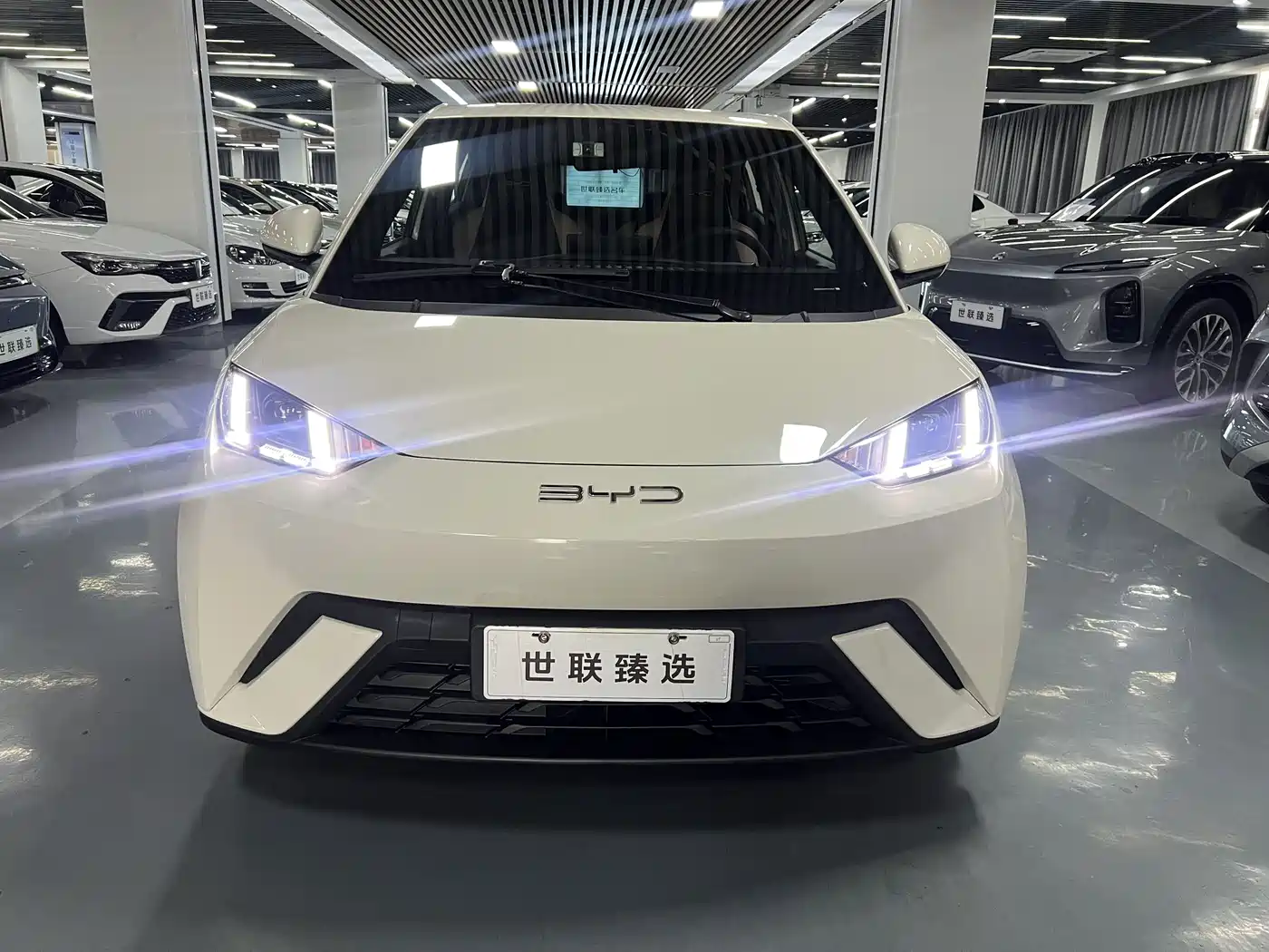 BYD Seagull 2023 2023 Flying Edition