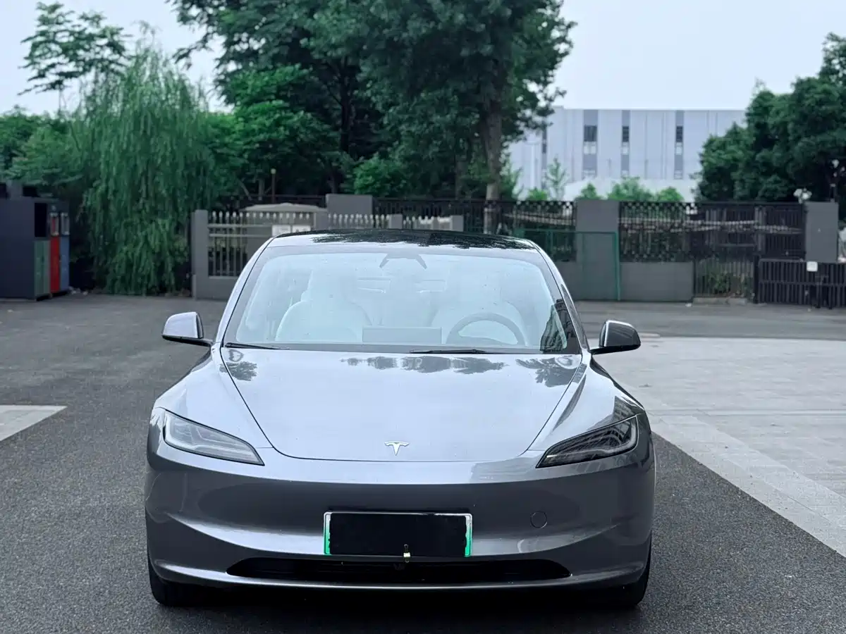 Tesla Model 3 2025 Long Range All-Wheel Drive фото 3