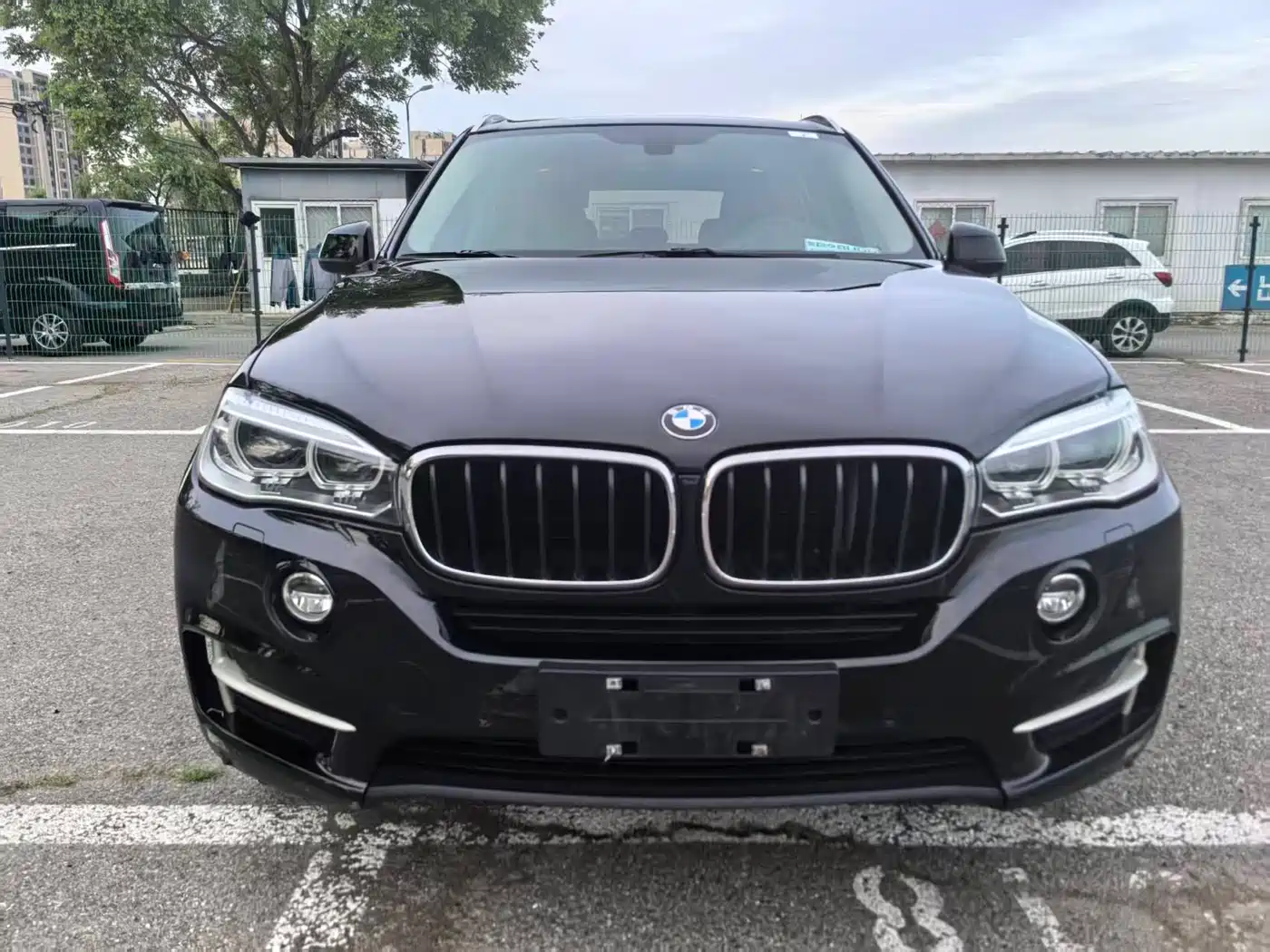 BMW X5 (Import) 2014 xDrive35i Elegance фото 2