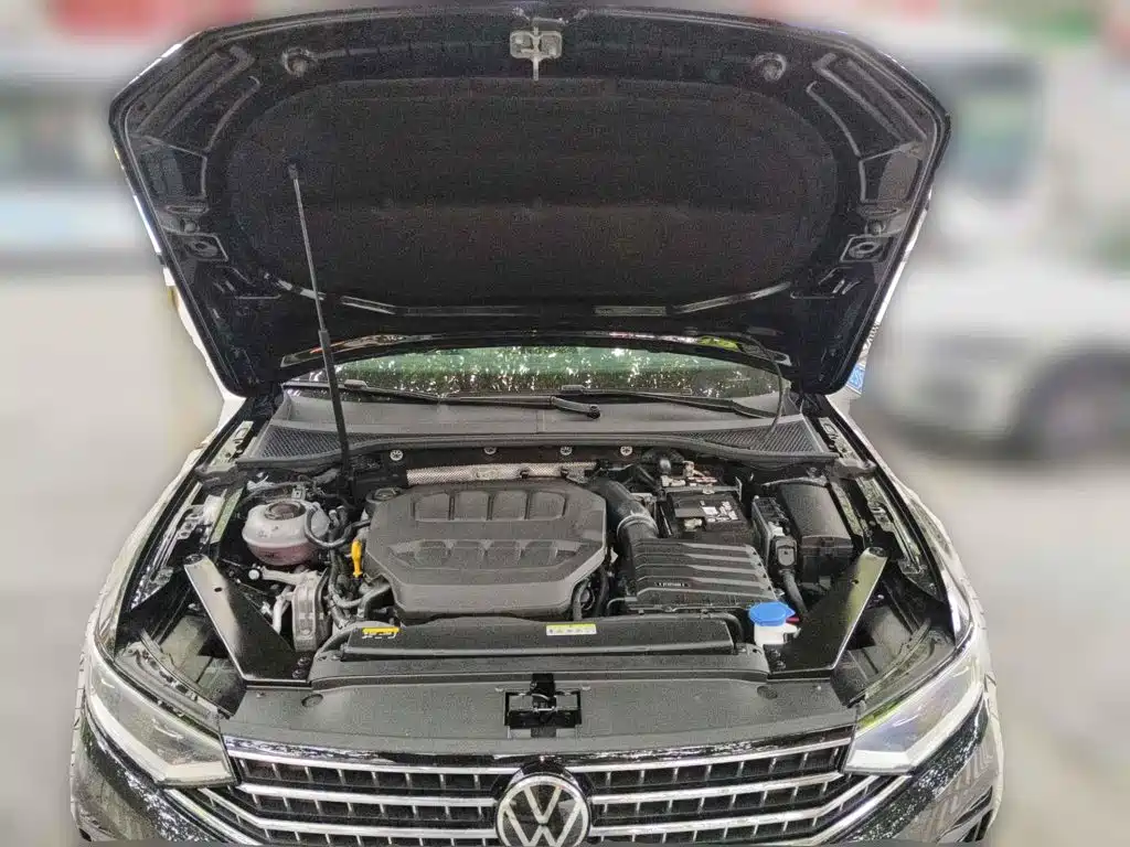 Volkswagen Magotan 2026 2026 Model 30 Million Special Selection 380TSI DSG Luxury