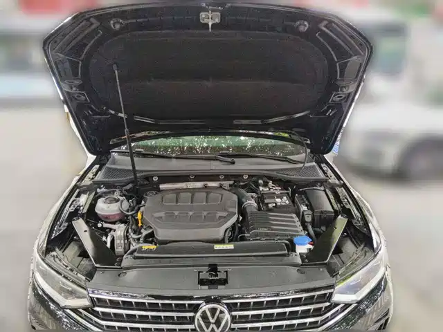 Volkswagen Magotan 2026 Model 30 Million Special Selection 380TSI DSG Luxury — фото 3