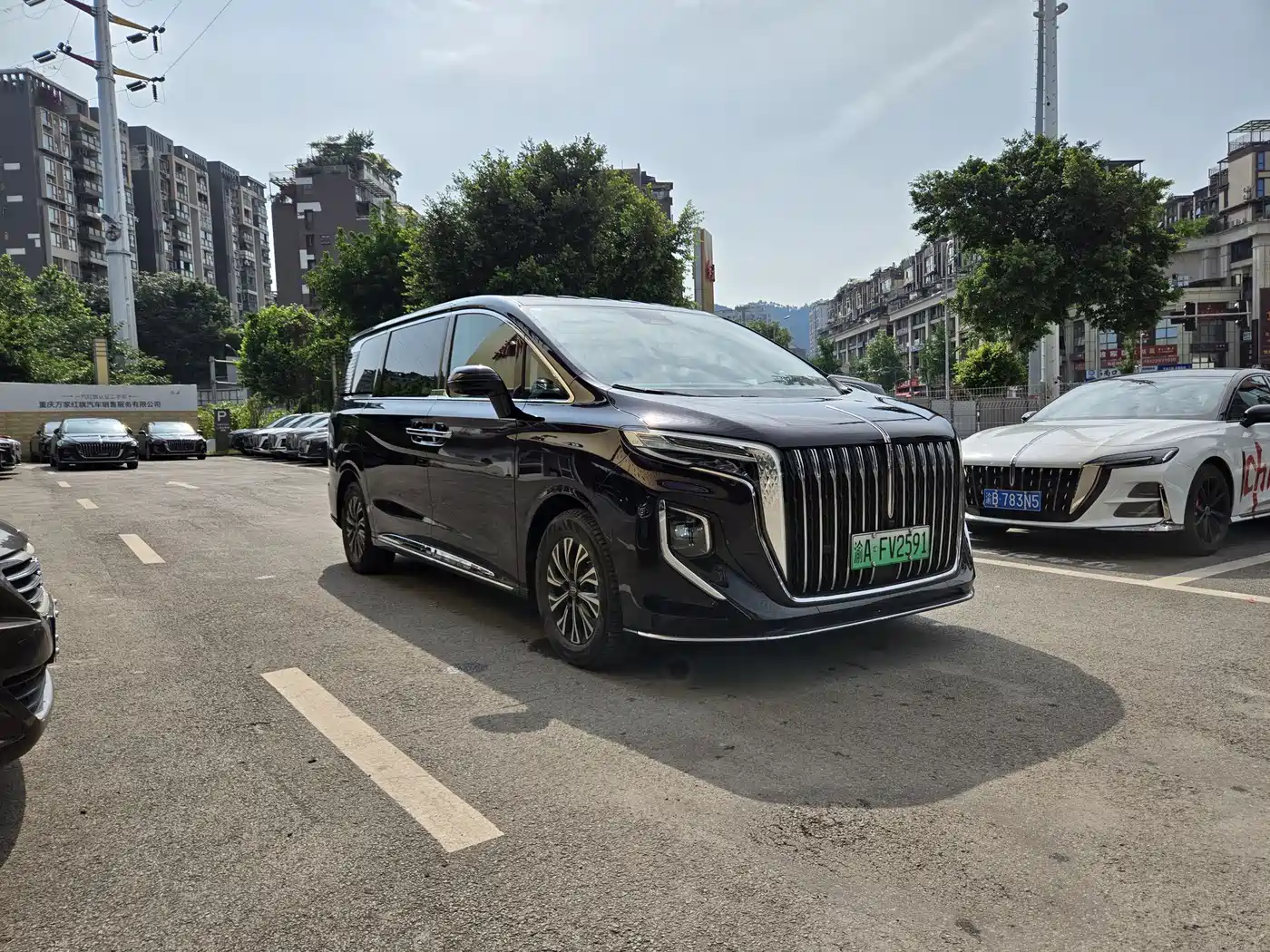 Hongqi HQ9 PHEV 2024 Model 2.0T AWD Luxury Edition фото 3
