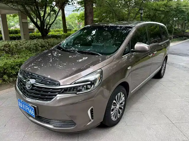 Buick GL8 2020 Model Land Business Class 652T Luxury — фото 1