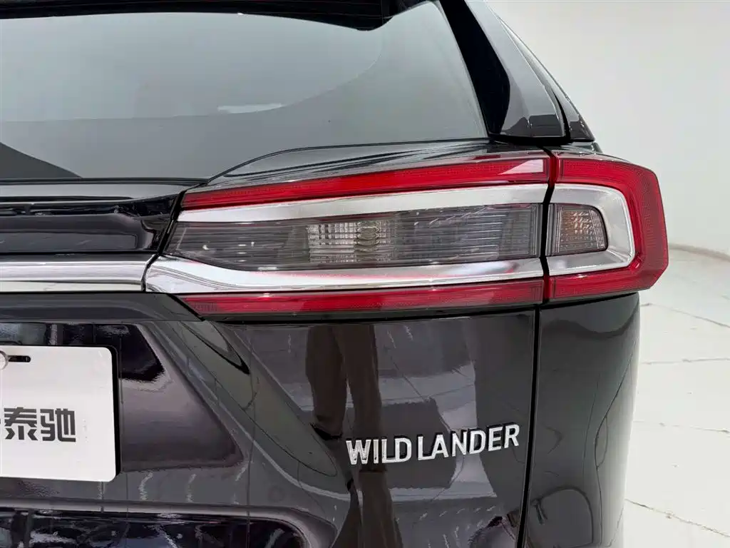 Toyota Wildlander 2020 2.0L CVT 2WD Luxury Edition фото 10