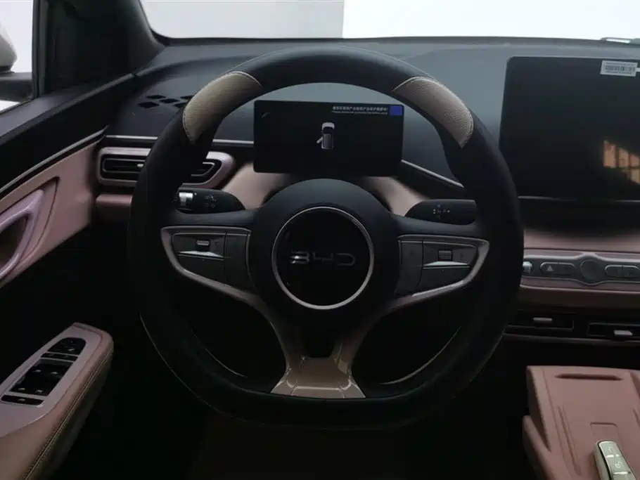 BYD Seagull 2025 Smart Drive Edition 305km Vitality Version фото 15