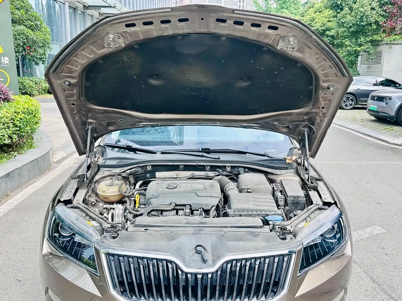 Škoda Superb 2016 TSI330 DSG Smart Edition фото 13
