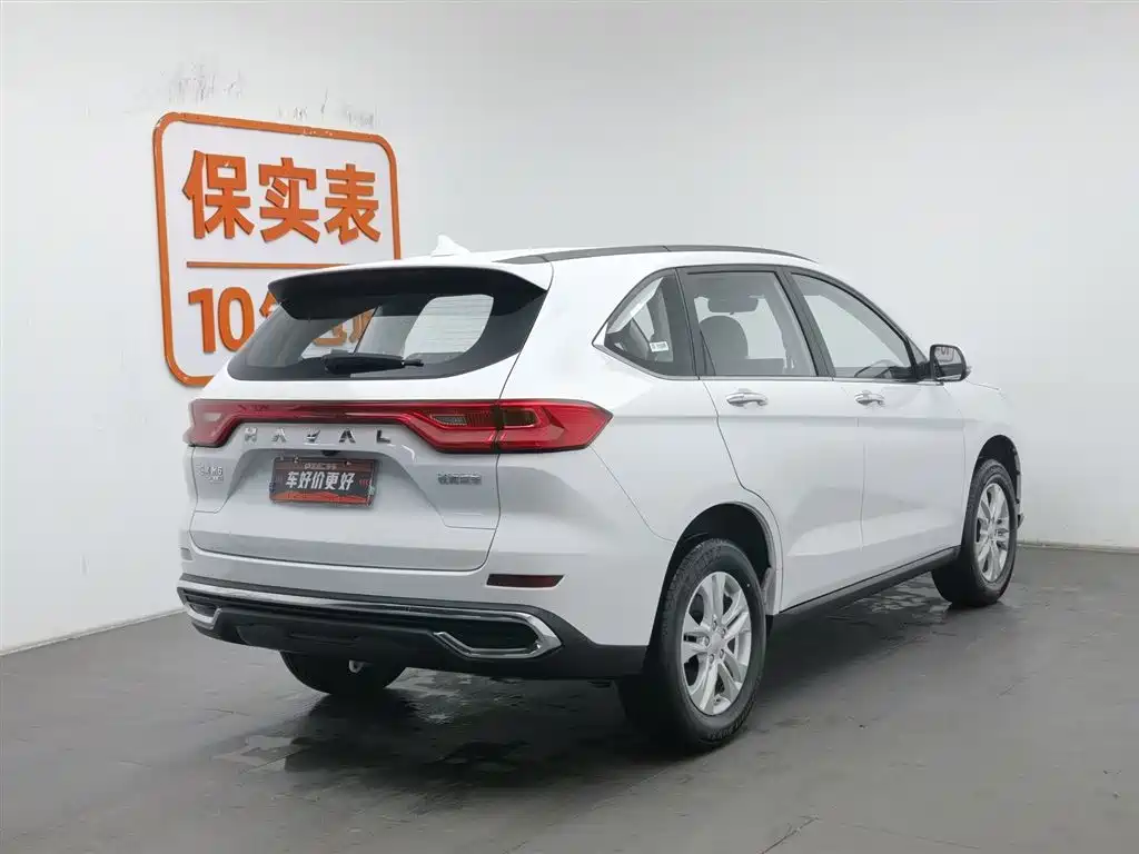 HAVAL M6
