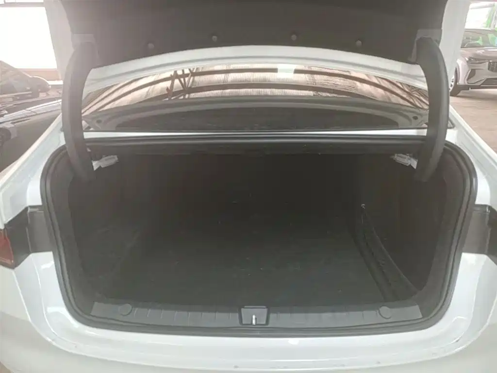 BYD Qin PLUS 2023 Champion Edition DM-i 55KM Leading фото 19
