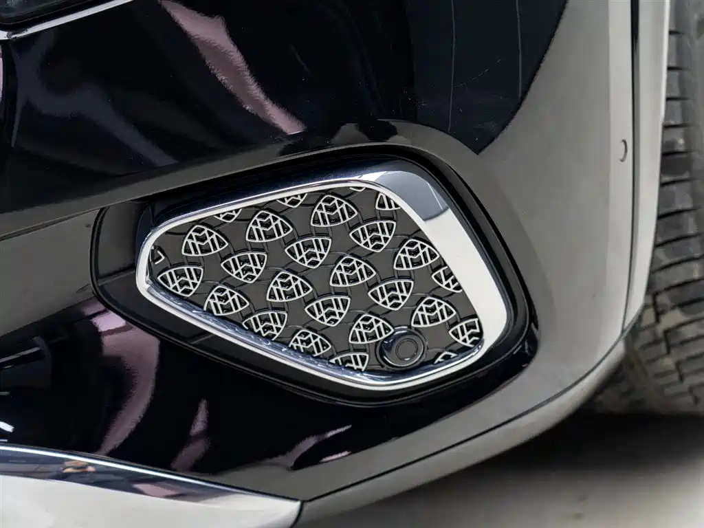 Mercedes-Benz Maybach GLS 2024 GLS 480 4MATIC фото 4