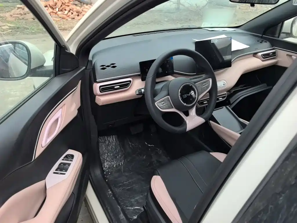 BYD Seagull 2026 2025 Smart Drive Edition 305km Vitality Version