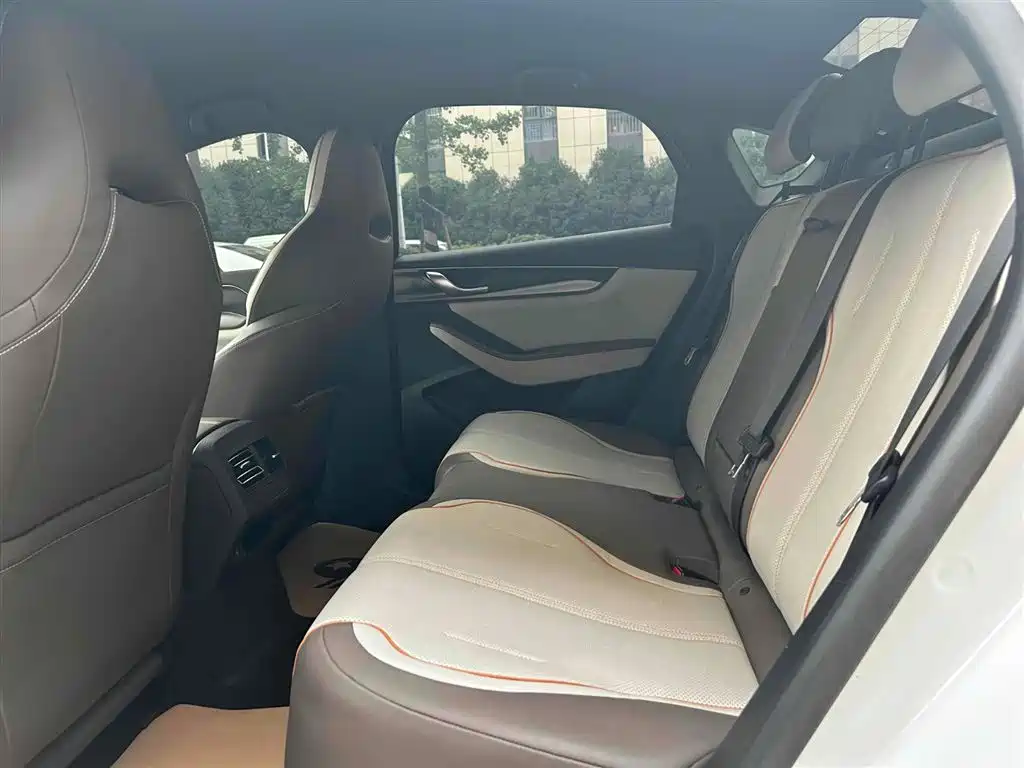 BYD Qin PLUS 2023 Champion Edition EV 510KM Leading Type фото 5