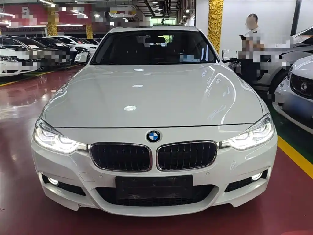 BMW 3 Series 2019 320Li M Sport Package фото 3