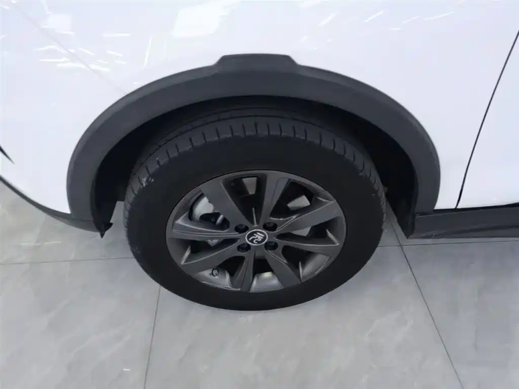 BYD Yuan New Energy 2019 EV535 Smart Connected Trend Leader Type фото 23