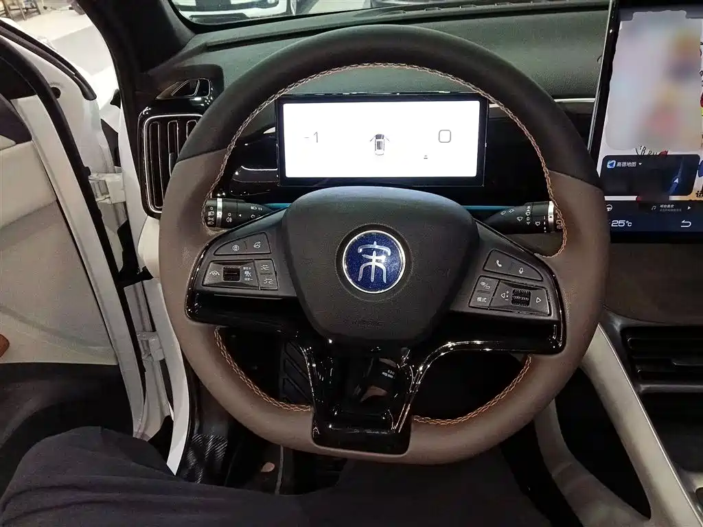 BYD Song Pro New Energy 2023 Champion Edition DM-i 110KM Excellence фото 11