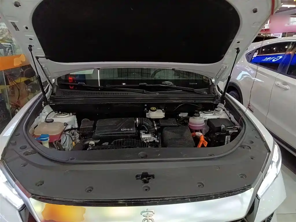 BYD Song Pro New Energy 2023 Champion Edition DM-i 110KM Excellence фото 20