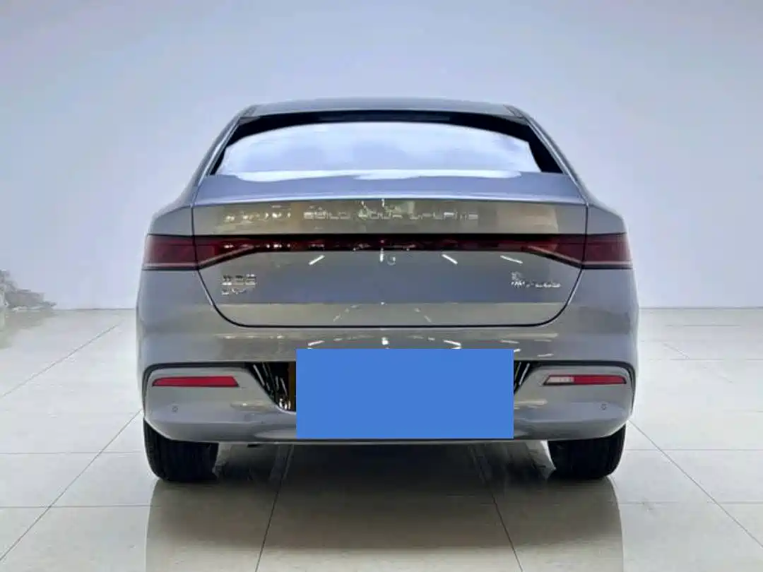 BYD Qin PLUS 2023 Champion Edition DM-i 120KM Leading Type фото 4