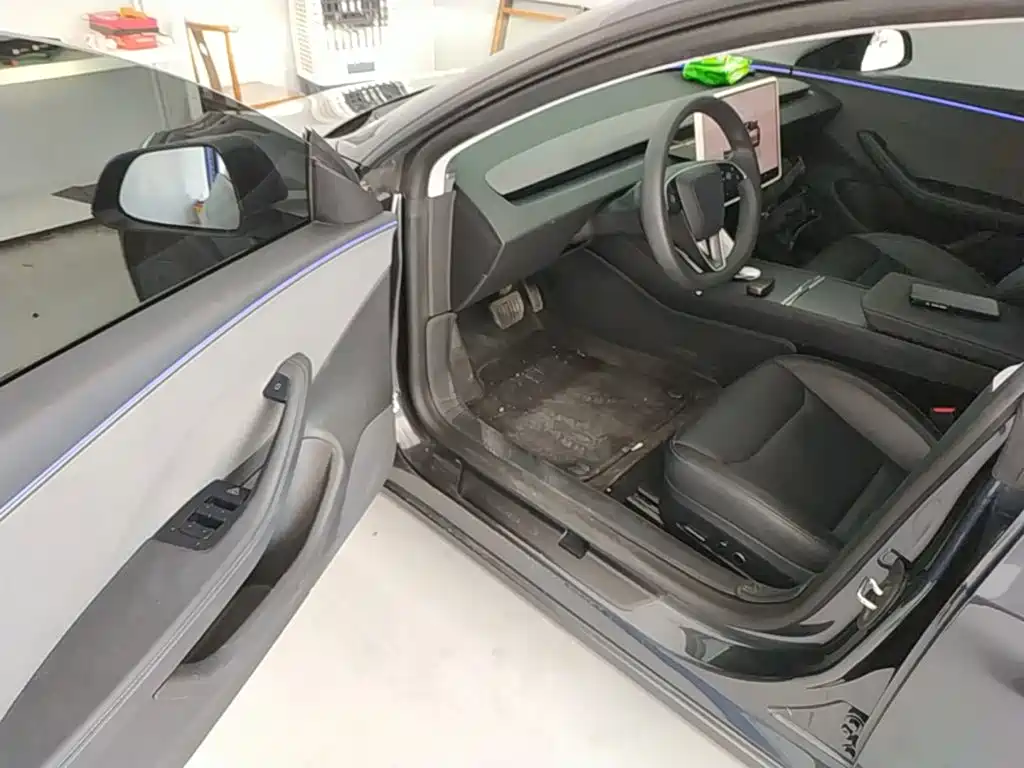 Tesla Model 3 2025 2025 Model Rear-Wheel Drive Edition