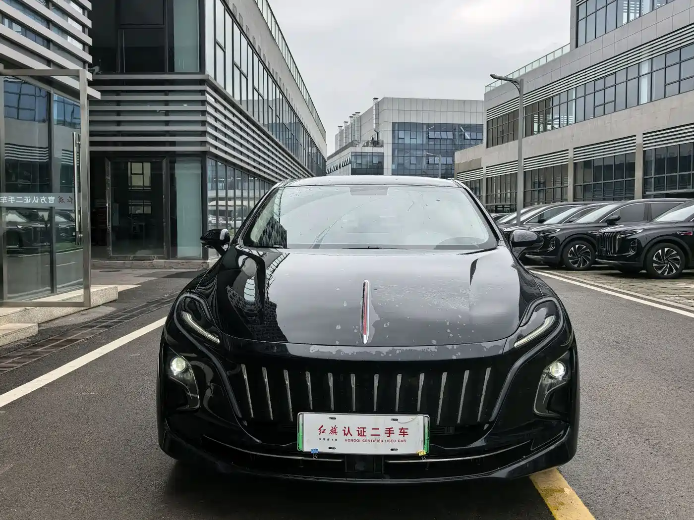 Hongqi E-QM5 2024 Model 450km Travel Edition фото 2