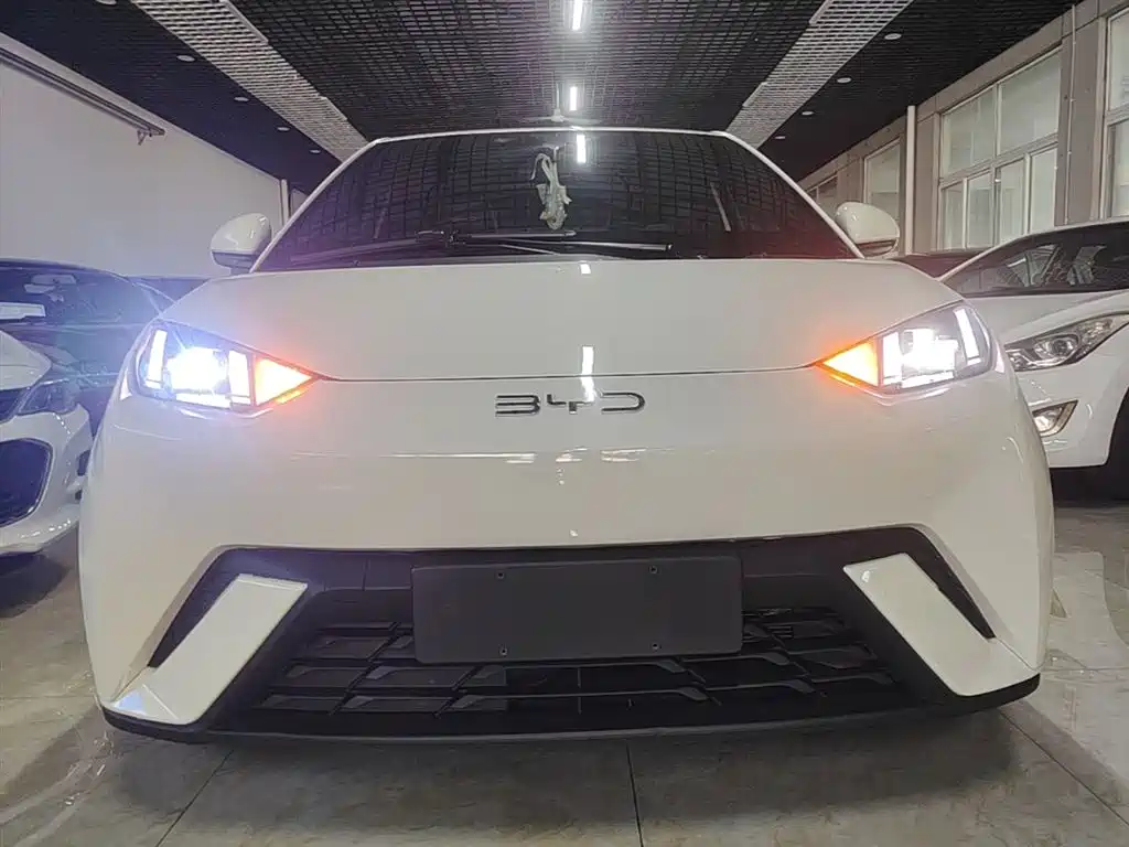 BYD Seagull 2024 Glory Edition 405km Soaring Edition фото 3