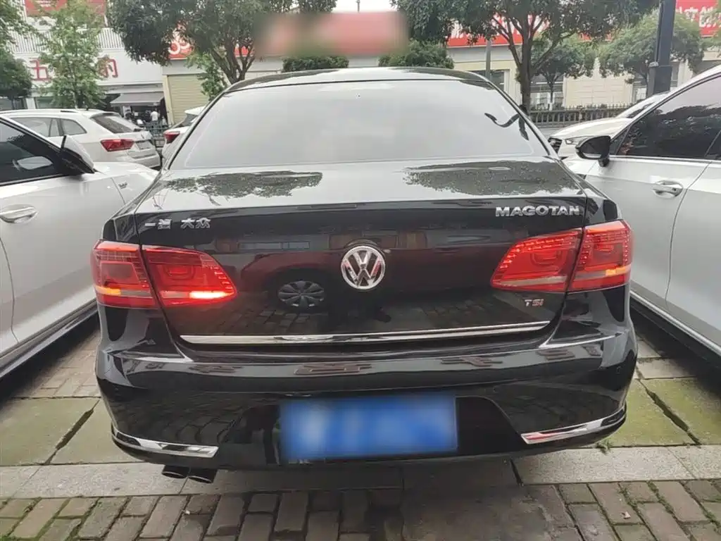 Volkswagen Magotan 2015 1.8TSI Luxury фото 6