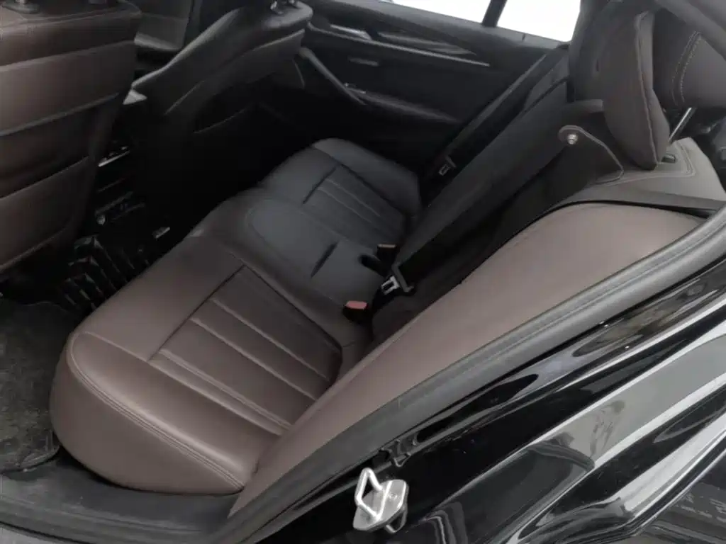 BMW 5 Series 2020 525Li M Sport Package фото 17