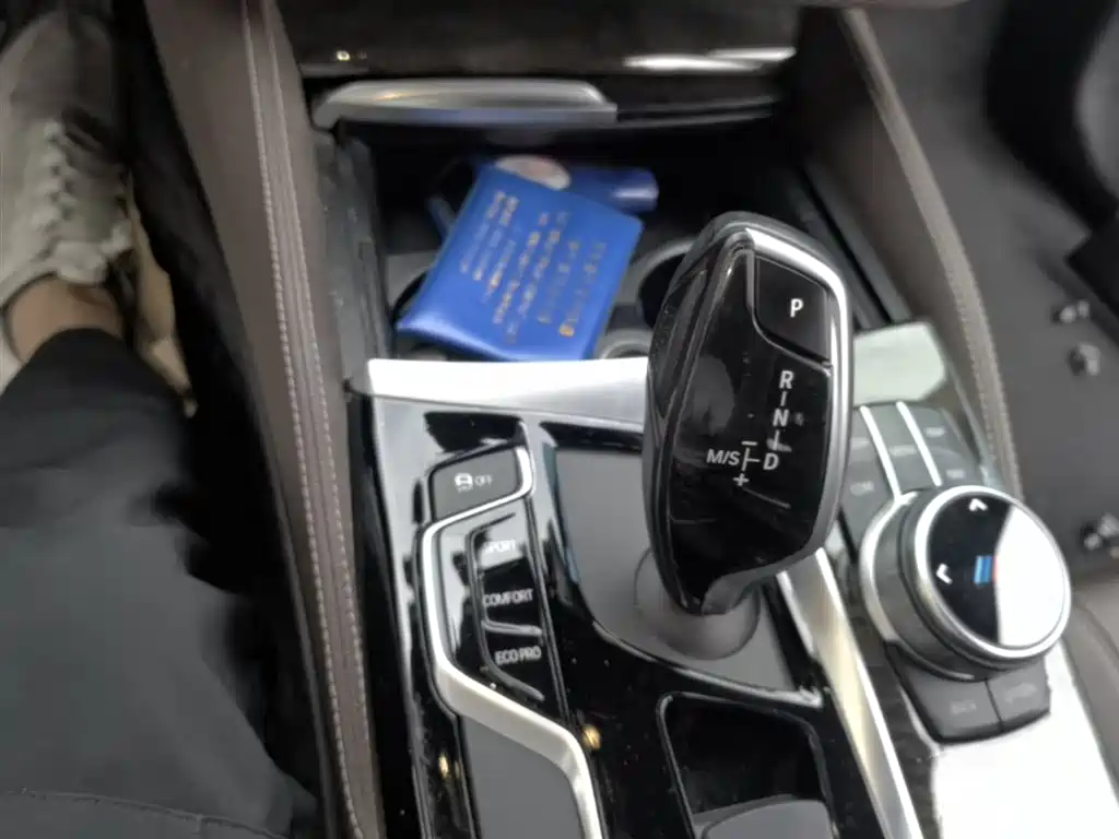 BMW 5 Series 2020 525Li M Sport Package фото 14