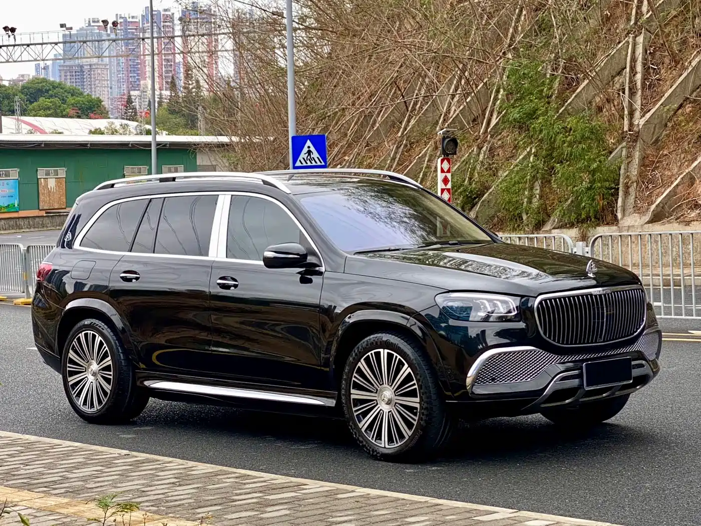 Mercedes-Benz Maybach GLS 2021 GLS 480 4MATIC фото 3
