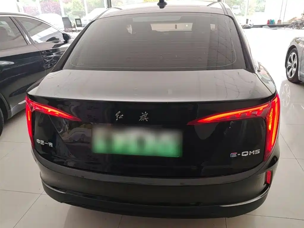Hongqi E-QM5 2023 Facelift Basic Travel Edition фото 6