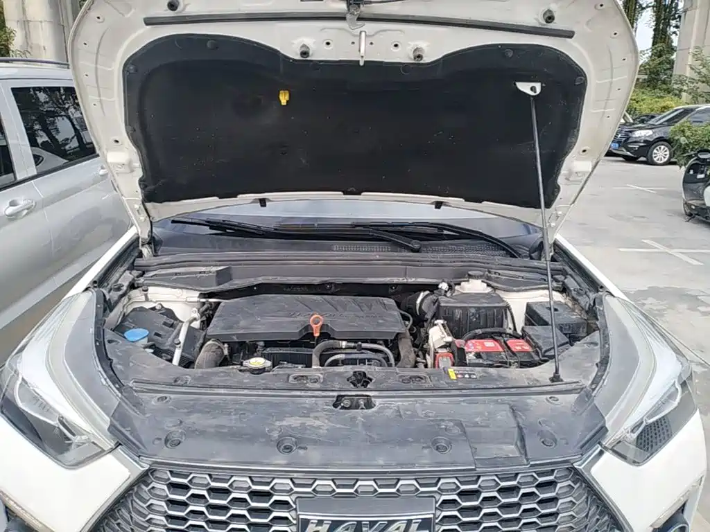 Haval H6 Coupe 2019 2019 1.5T Auto 2WD Luxury Smart Edition China VI