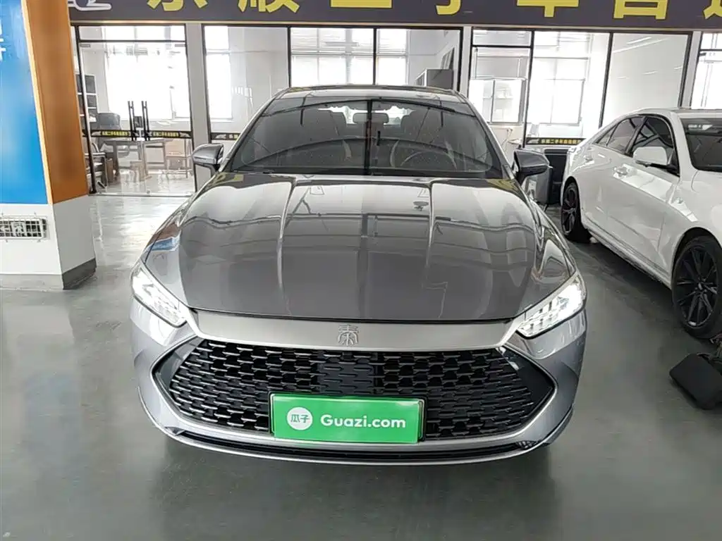 BYD Qin PLUS 2024 Glory Edition DM-i 55KM Leading фото 3