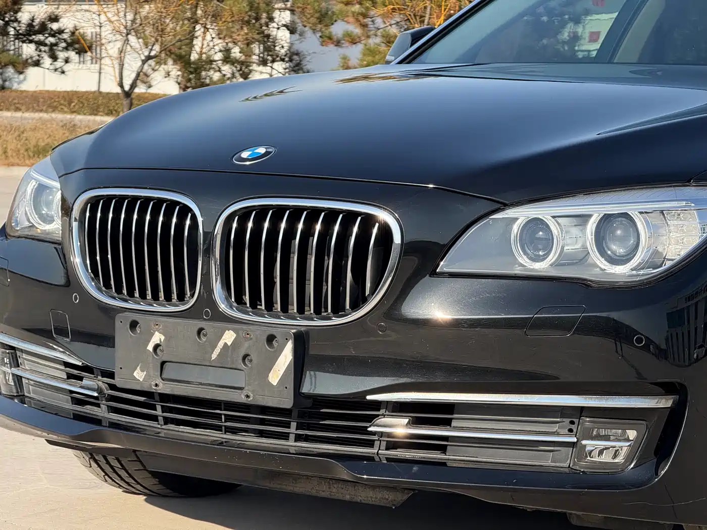 BMW 7 Series 2014 730Li Premium фото 11
