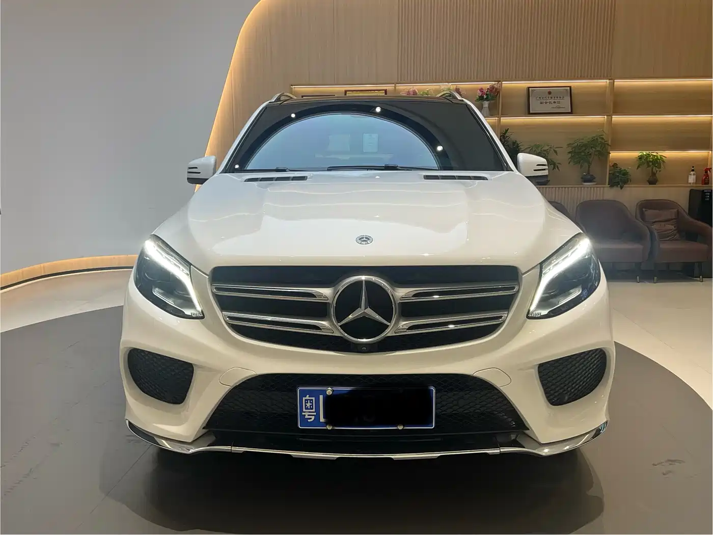 Mercedes-Benz GLE 2019 GLE 320 4MATIC Luxury Collector's Edition фото 2