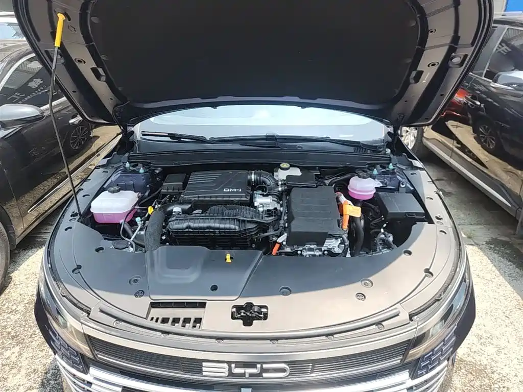 BYD Destroyer 05 2024 Glory Edition DM-i 55KM Luxury фото 20