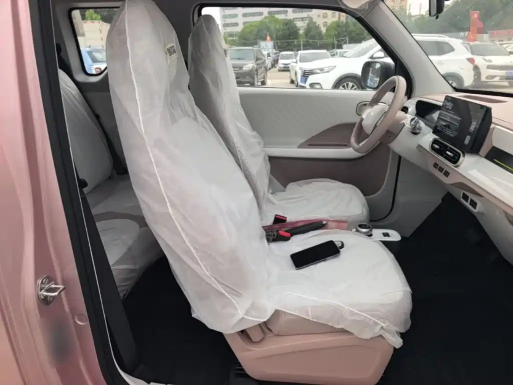 Geely Galaxy Panda 2026 2025 Panda mini 210km Vitality Bear