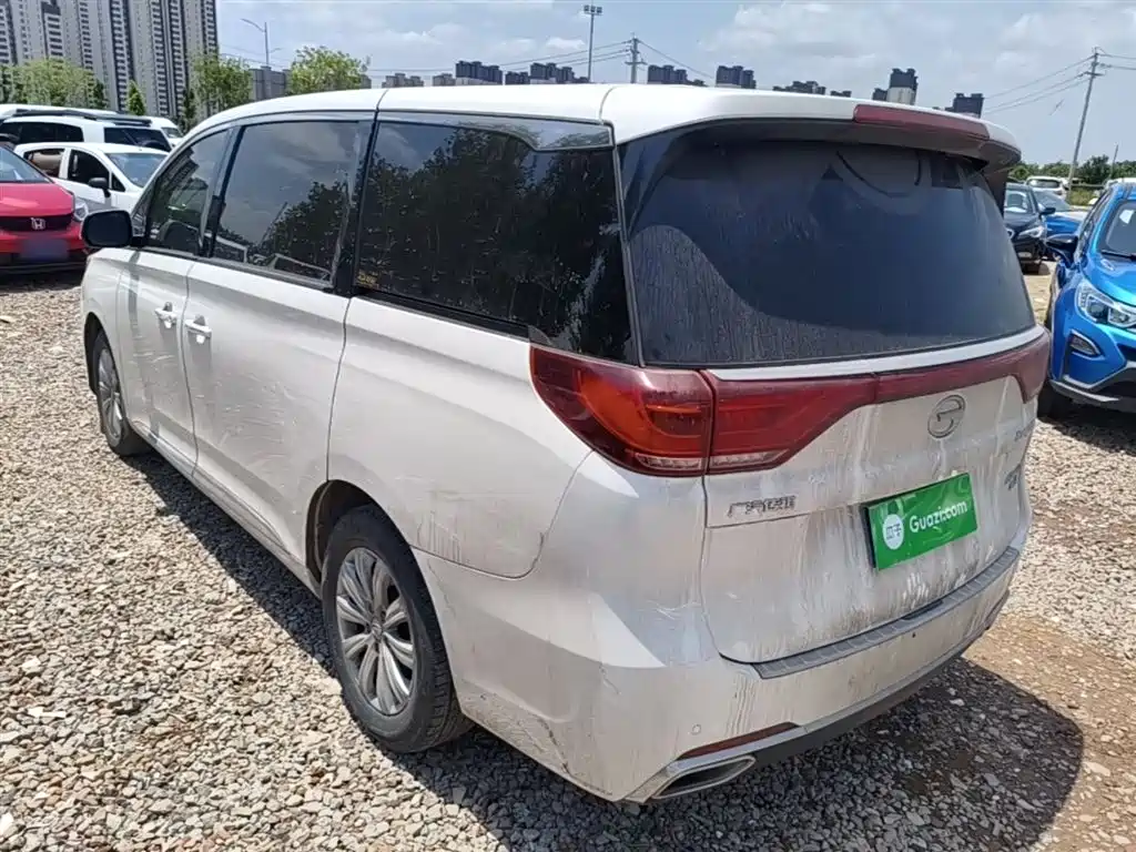 GAC Trumpchi Trumpchi M8 2018 320T Exclusive Edition фото 5