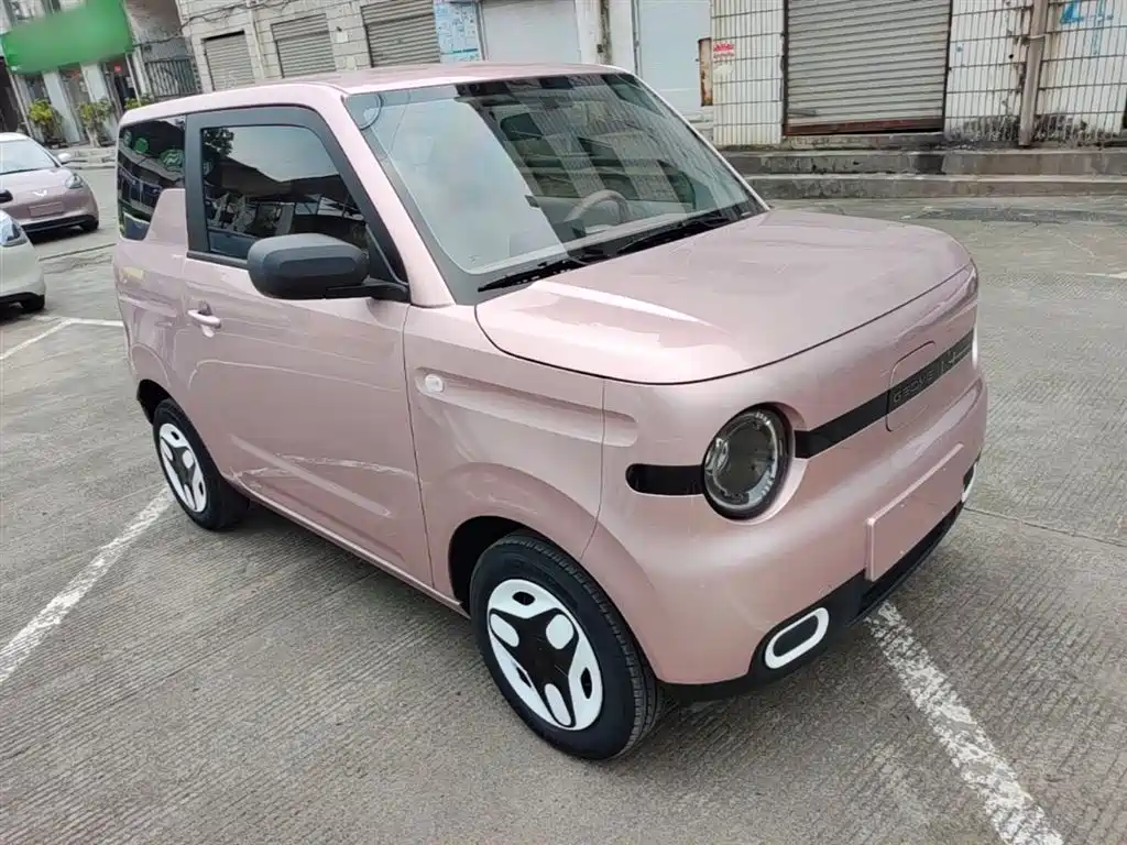 Geely Galaxy Panda 2025 Panda mini 210km Vitality Bear фото 4