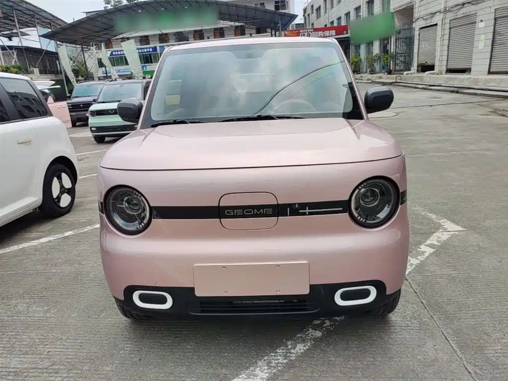 Geely Galaxy Panda 2025 Panda mini 210km Vitality Bear фото 3