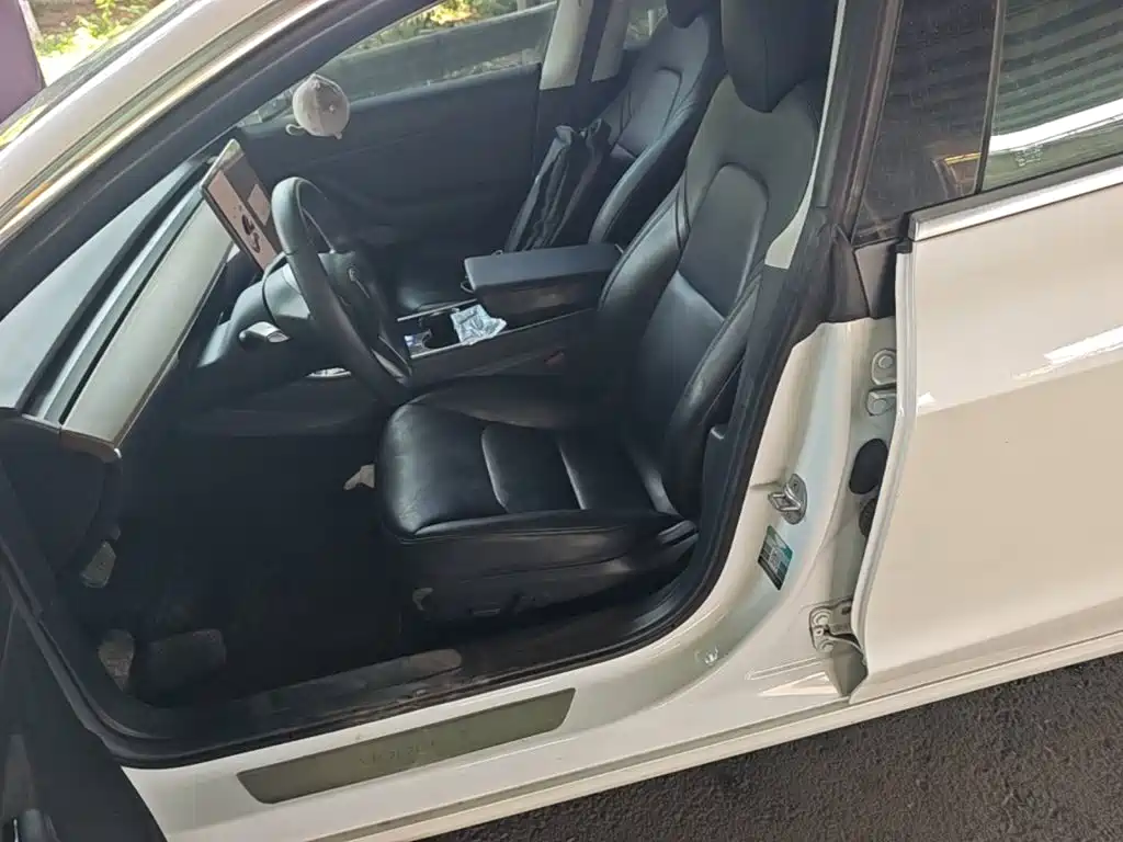Tesla Model 3 (Import) 2019 2019 Standard Range RWD Upgraded Edition