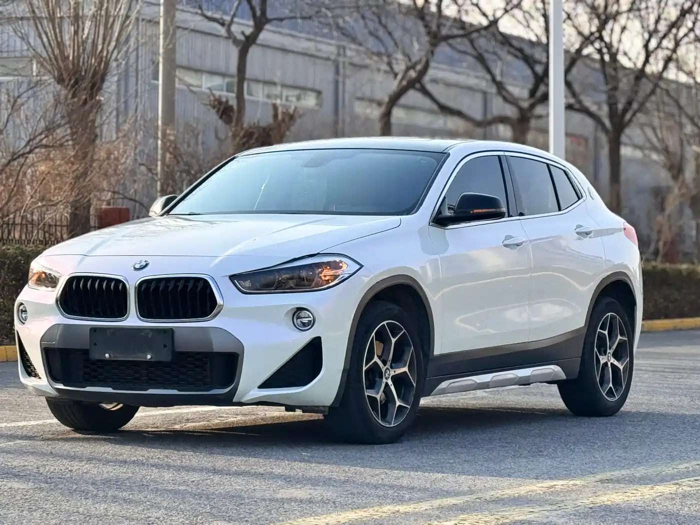 BMW X2 (Import) 2019 sDrive20i M Off-Road Package China VI