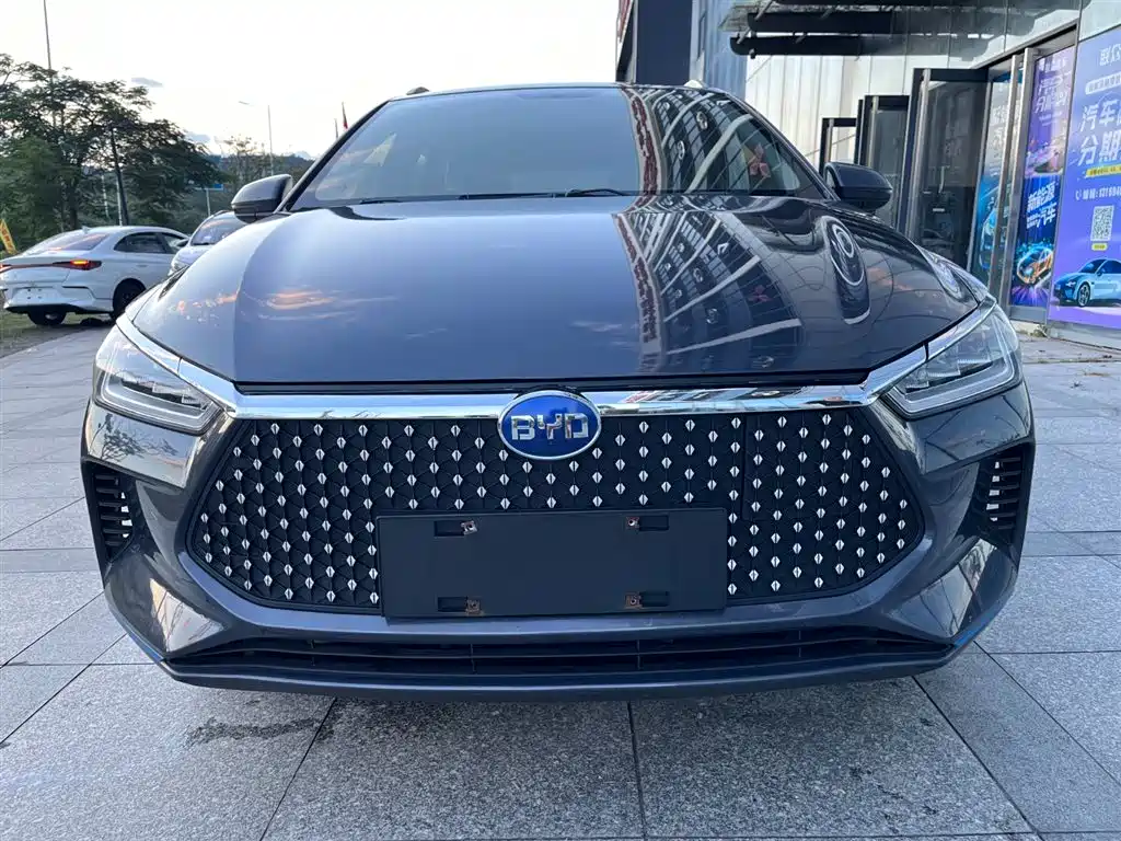 BYD e2 2019 Long Range Yao·Luxury Model
