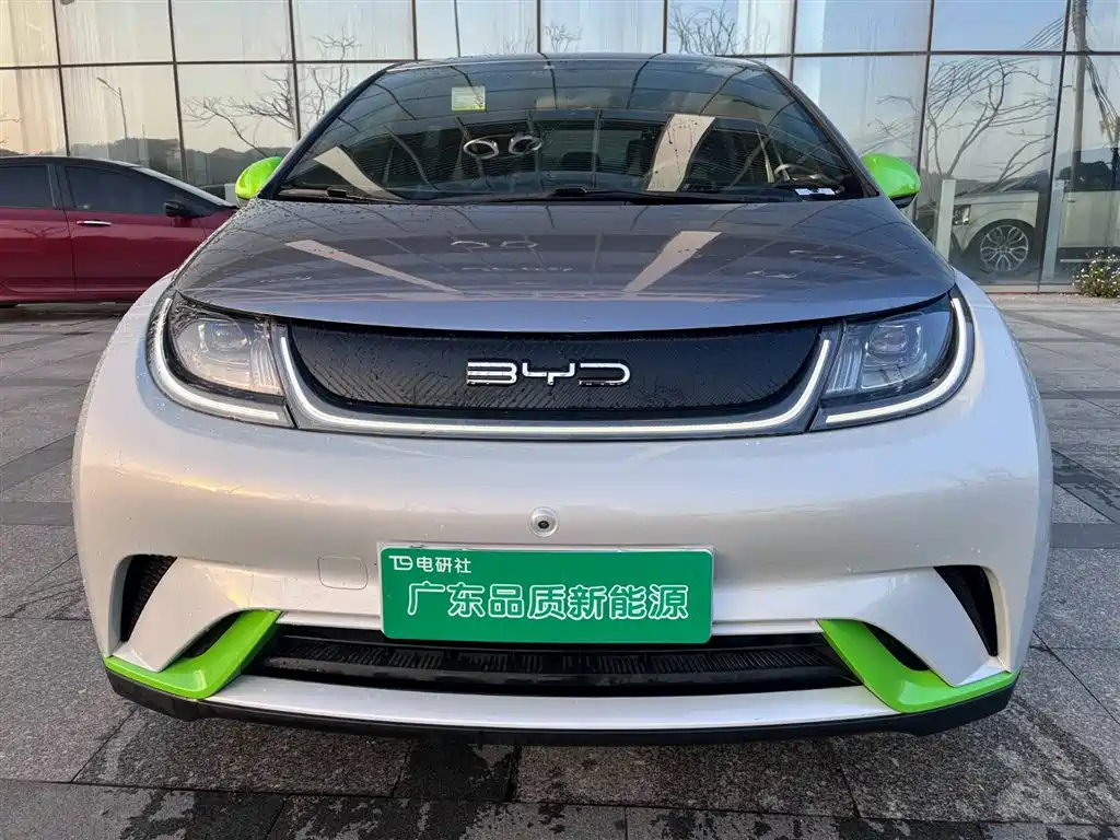 BYD Dolphin 2021 405km Freedom Edition