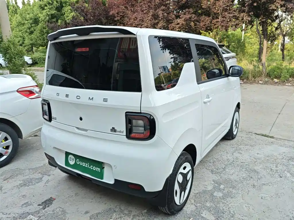 Geely Galaxy Panda 2025 Panda mini 210km Vitality Bear фото 6