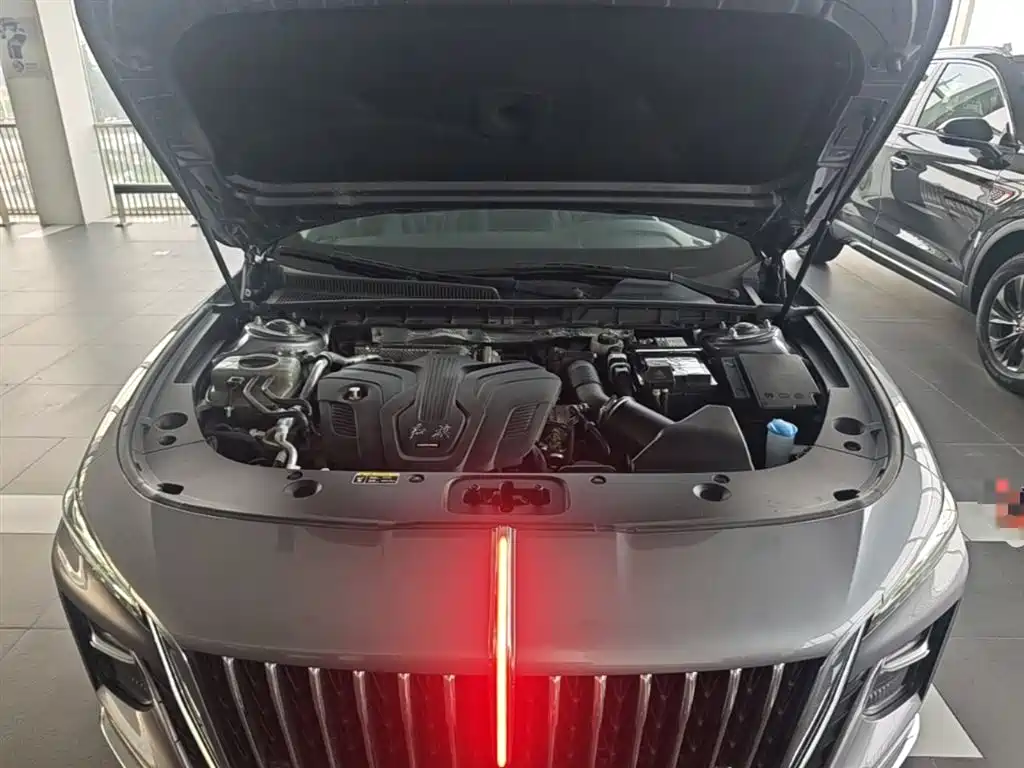 Hongqi H5 2024 2.0T Automatic Smart Connect Flag Smooth Edition фото 20